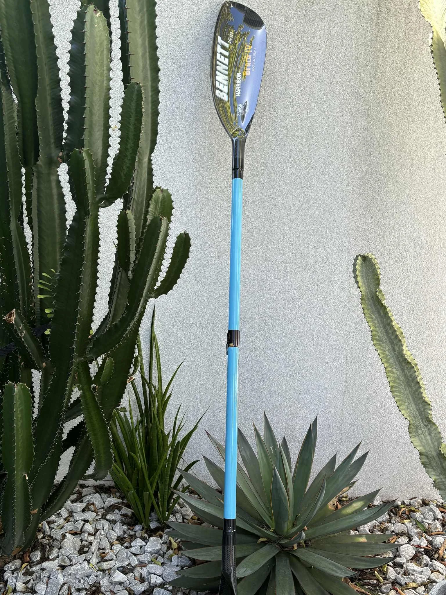 A Bennett x Braca Paddle leaning against a white wall, surrounded by various green desert plants, including cacti and succulent plants, on a bed of small rocks.