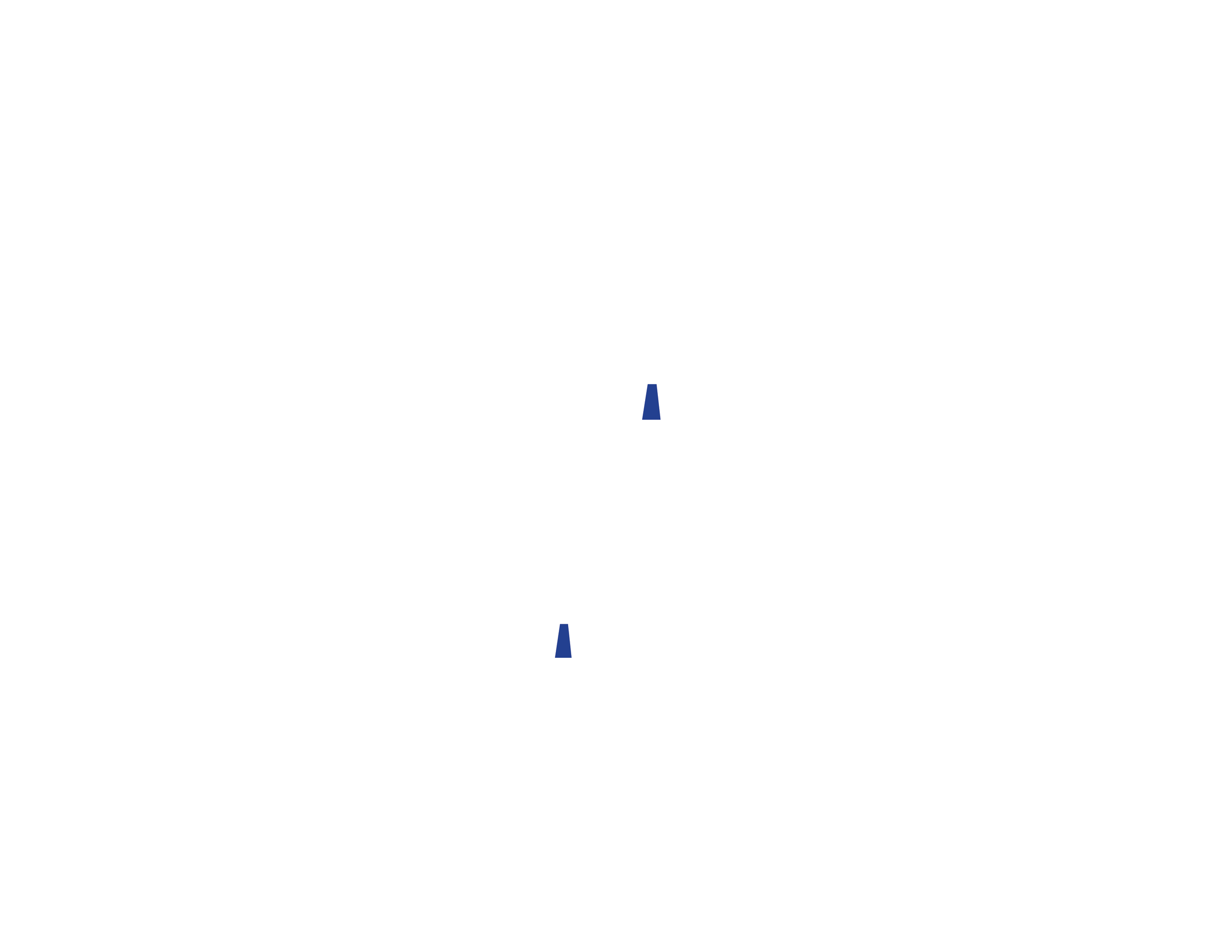 FAT FACE