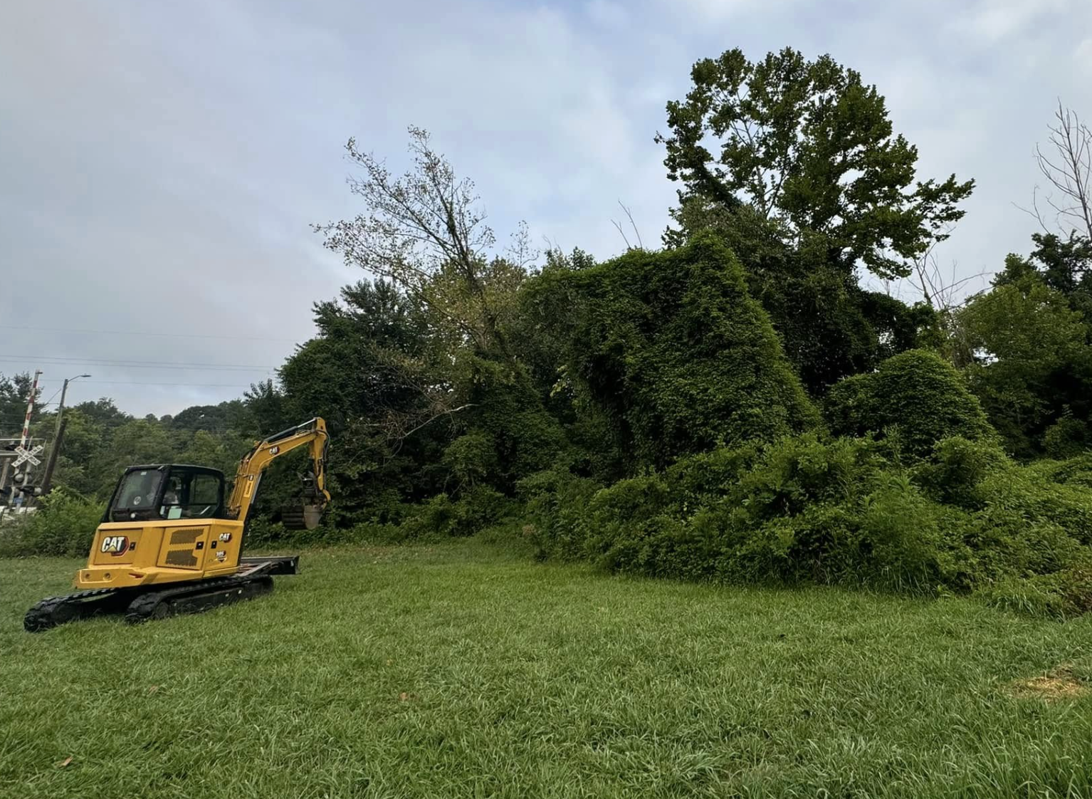 A small yellow CAT excavator on a grassy field next to a dense, green, overgrown bush with trees in the background under a cloudy sky.