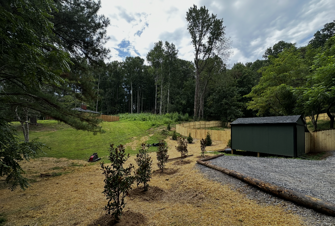 Finished property clearing and grading project with prepared ground, new plantings, and gravel area