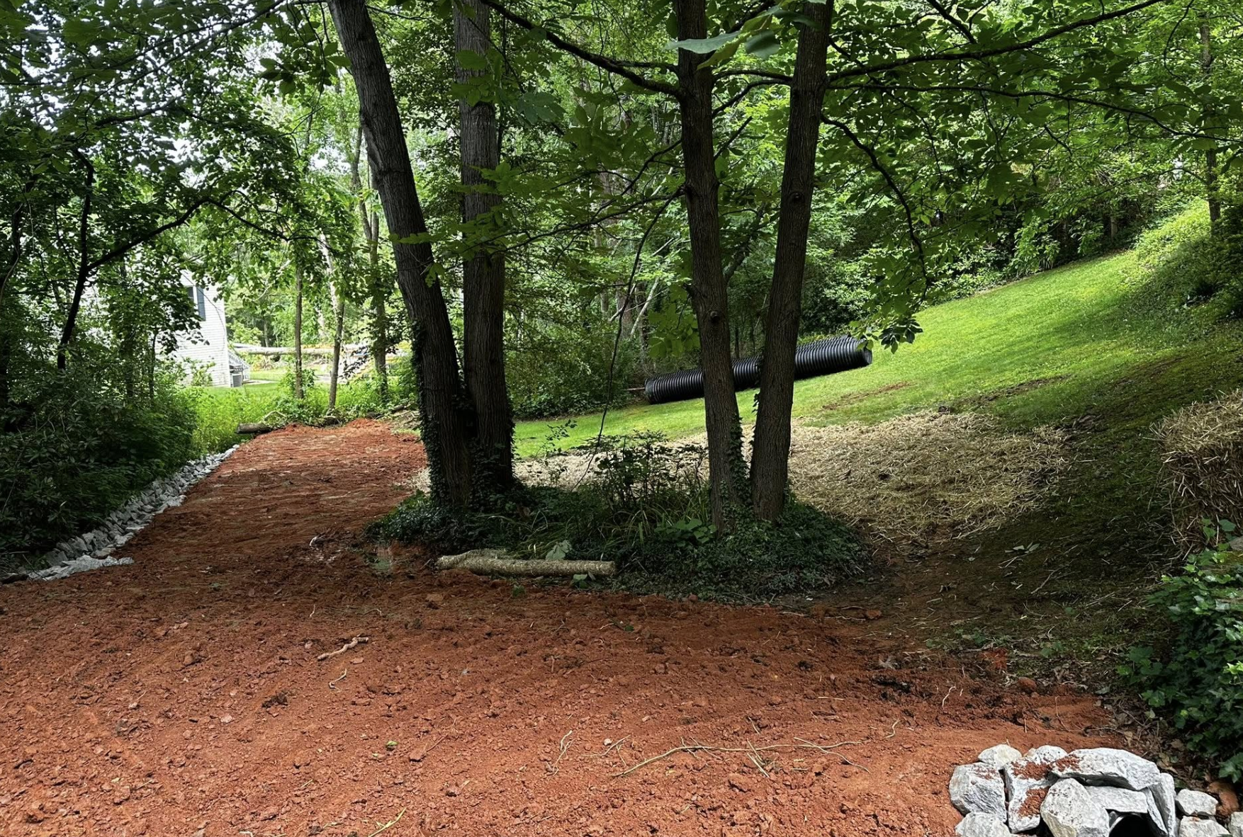 Garden yard scene with trees, grass, a dirt pathway, a black drainage pipe, and rocks.