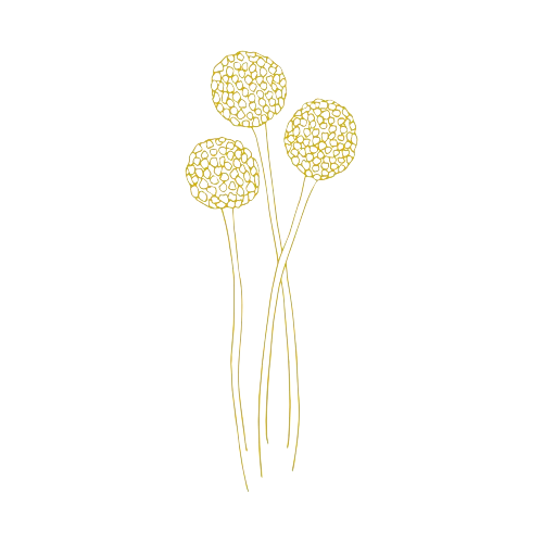 Dandelion gold accent image