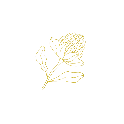 Waratah Gold Accent Image