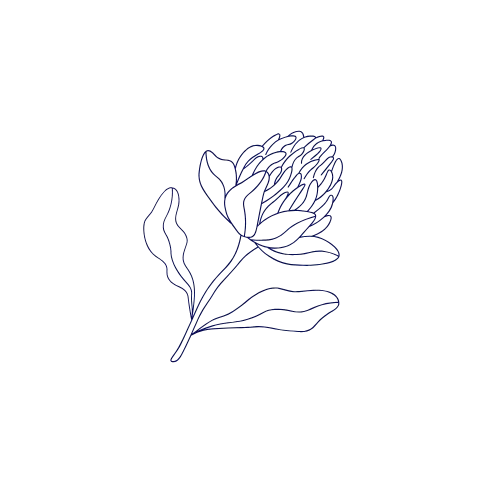 A minimalist line drawing of a flower with leaves on a black background.