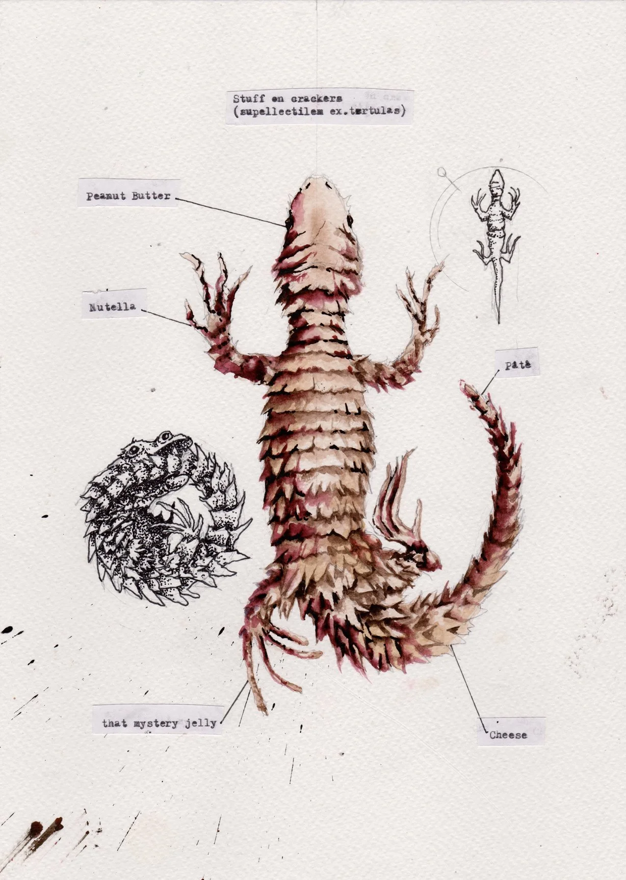 stuff on crackers.jpg