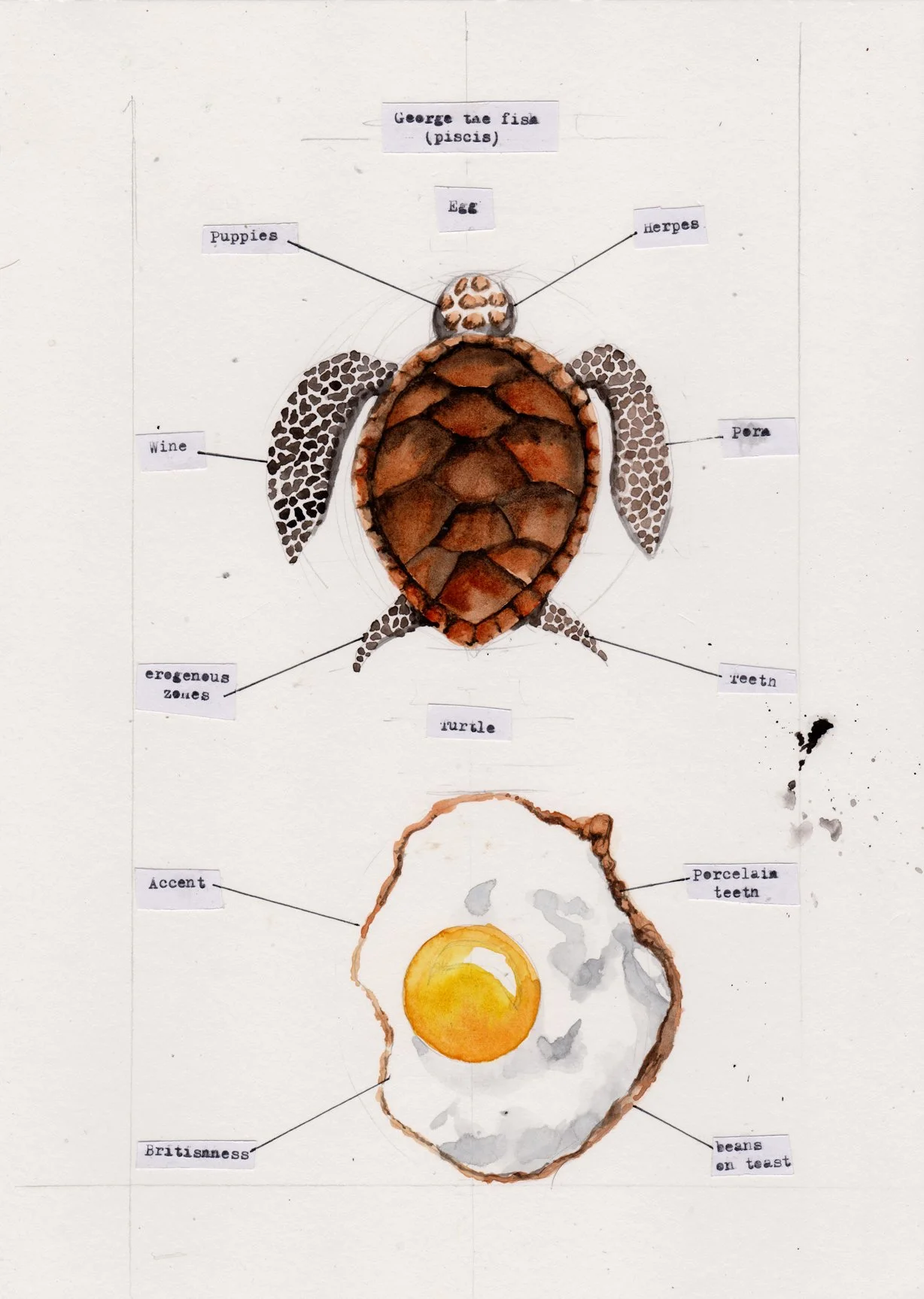 george the fish.jpg