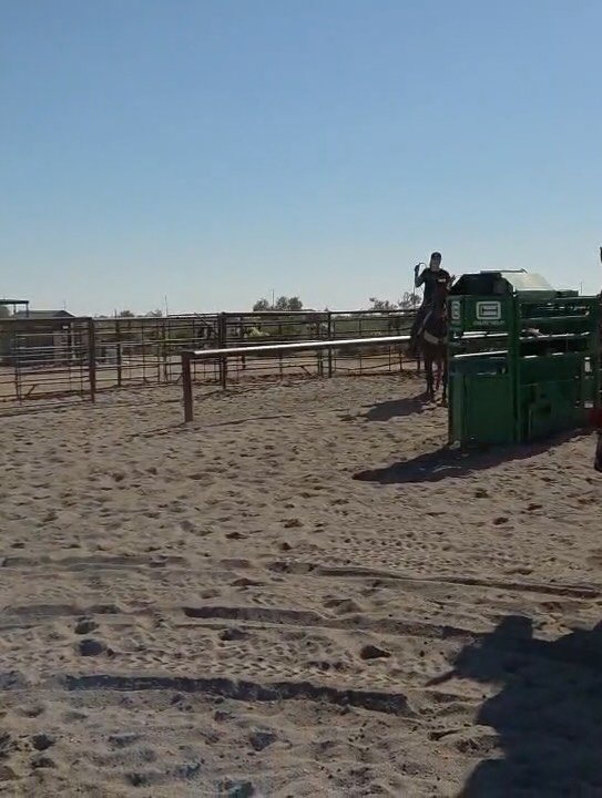 Spent the day with theeee Kay-T Shaw at Wheat Equine. Getting a tune up and some great pointers. Highly recommend for anyone looking for breakaway lessons in the Wickenburg area. 

Never stop learning! Winners are never threatened by winners 😉 Katie