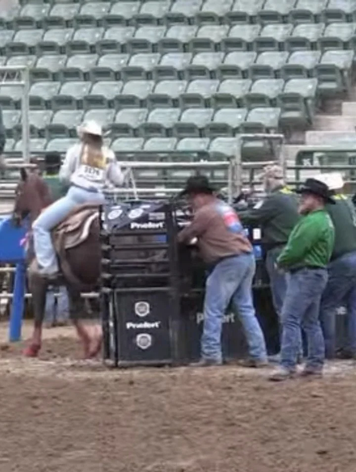 Rope Horse earned it.

I worked my ass off for it. 

World Champion Breakaway Roper and Rookie of the Year. 

Thank you everyone that supported me in my IGRA journey.

A year or so ago I bought this mare skinny, feet a mile long, and scared of her ow