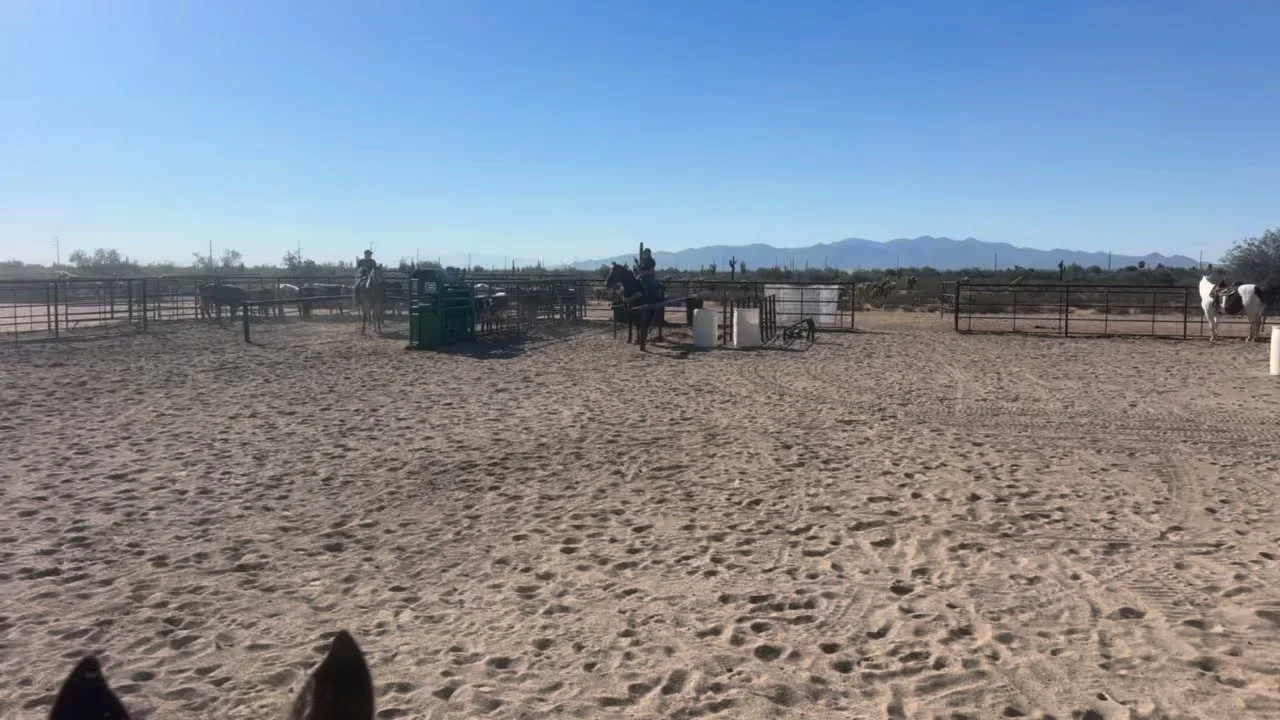 I love watching videos of Juice on the heading side! Thank you Katie Shaw for taking such good care of her all winter. She is working fantastically. I can&rsquo;t wait until she&rsquo;s home 😊