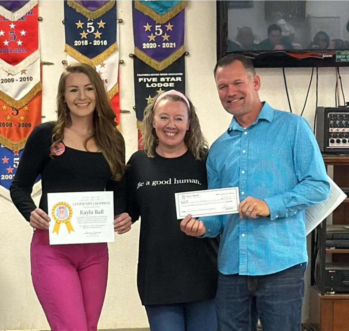 It was a pleasure raising money for No To Abuse. As a survivor of a domestically violent relationship that almost ruined my life, I hold this organization near and dear to my heart. The services No To Abuse provides victims and survivors is life chan