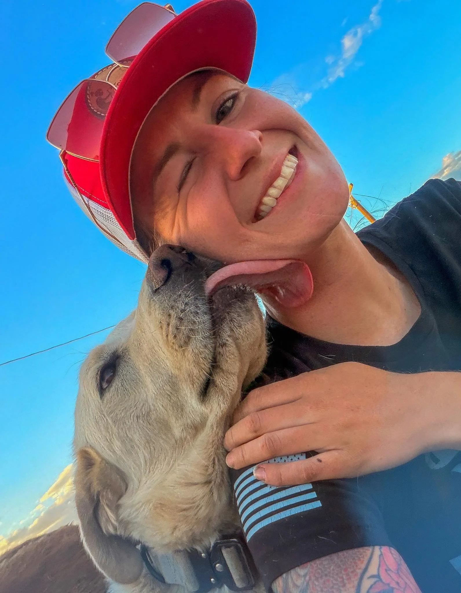I&rsquo;m just a girl&hellip;with too many dogs.