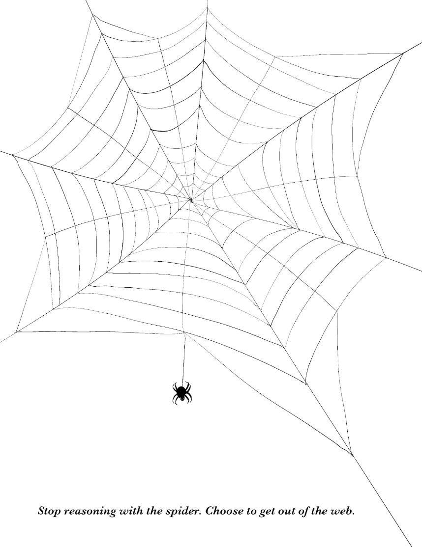 Spiderweb