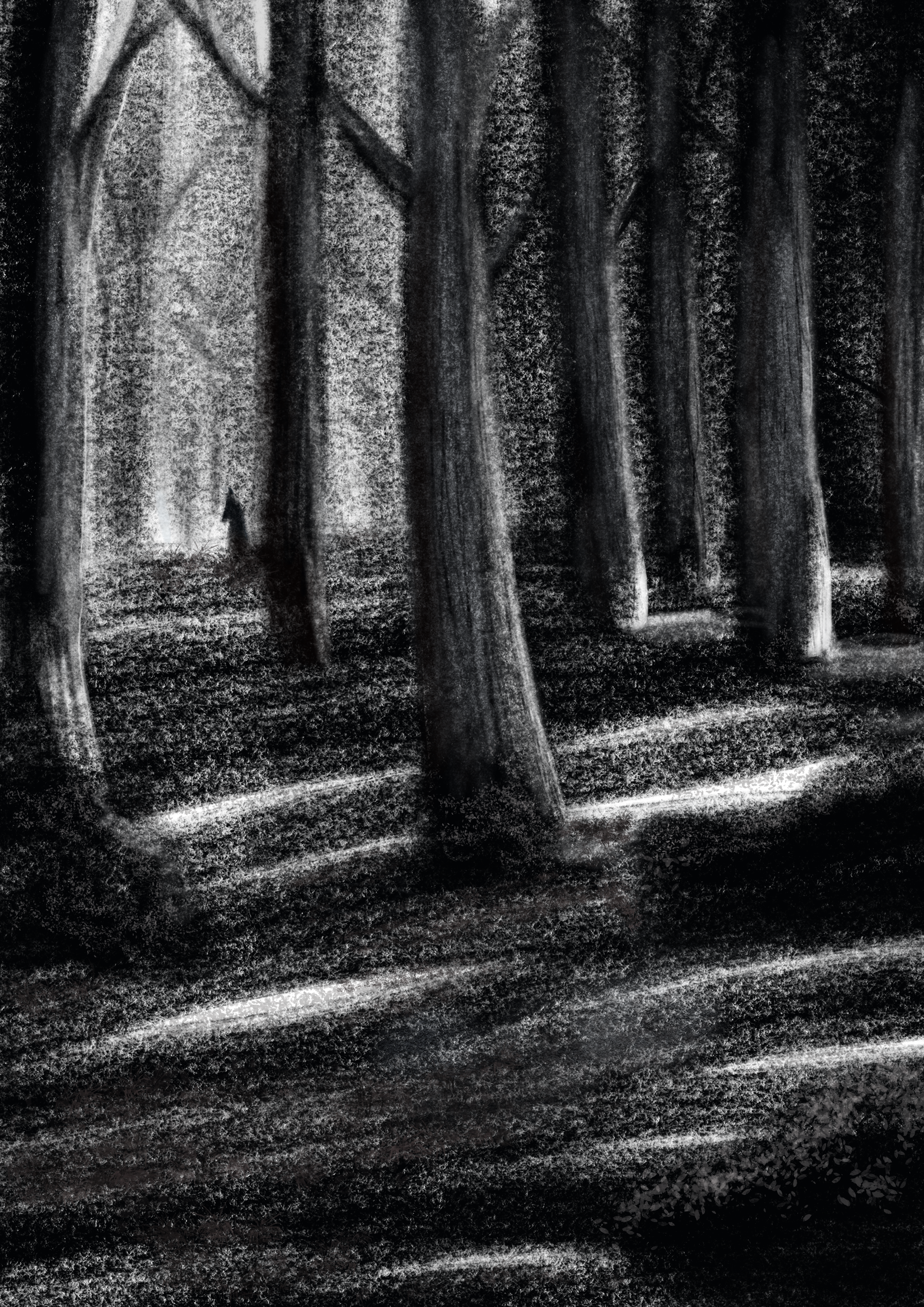A_Visitor_In_The_Woods (1).png