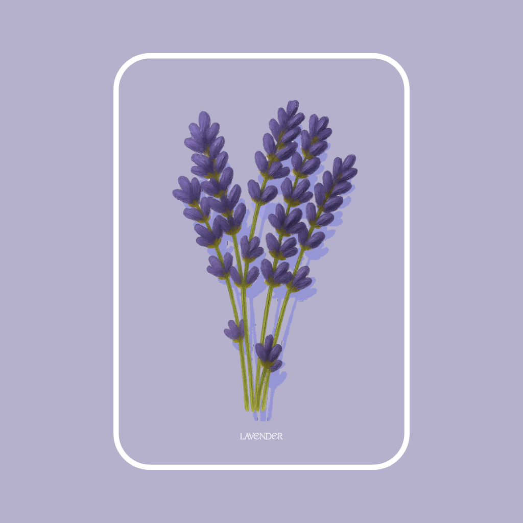 Squared + glow Lavender-Framed.png