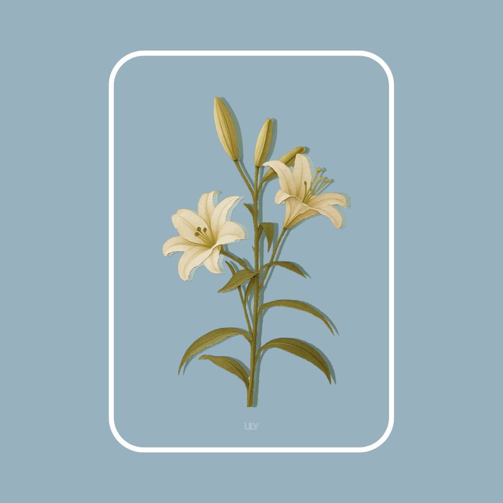 squared + glow Lily-framed.png