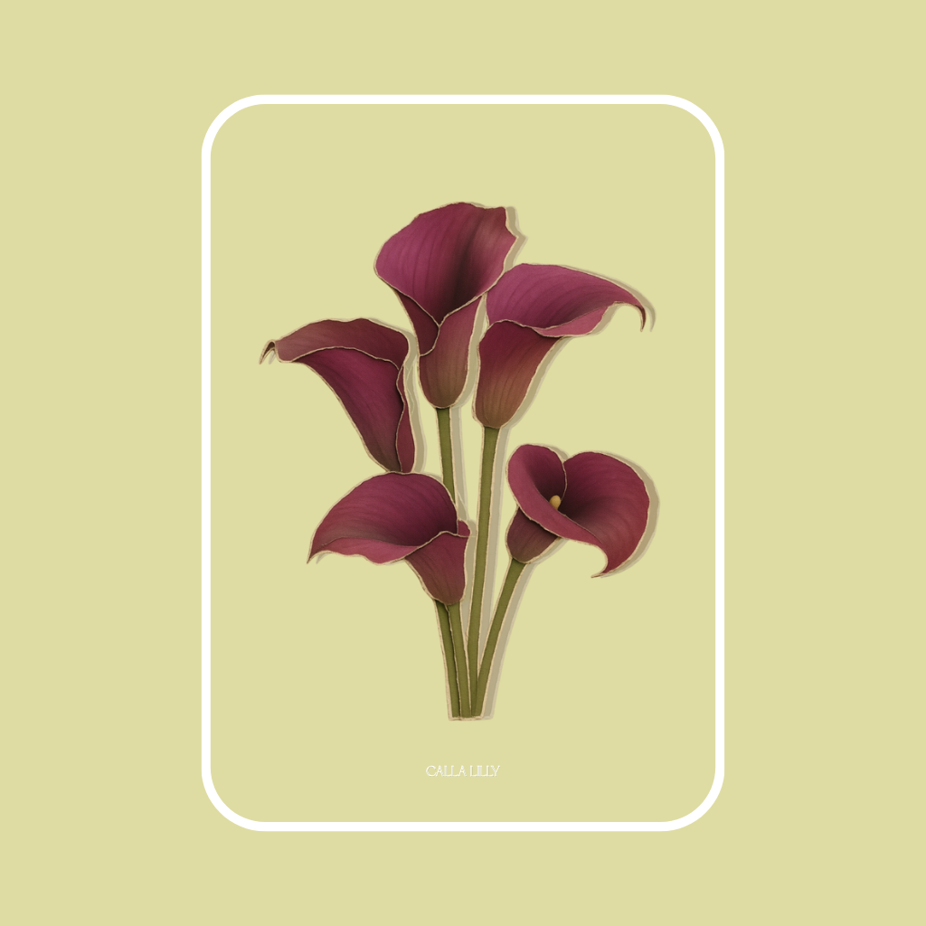 + glow Magnolia-framed (3).png