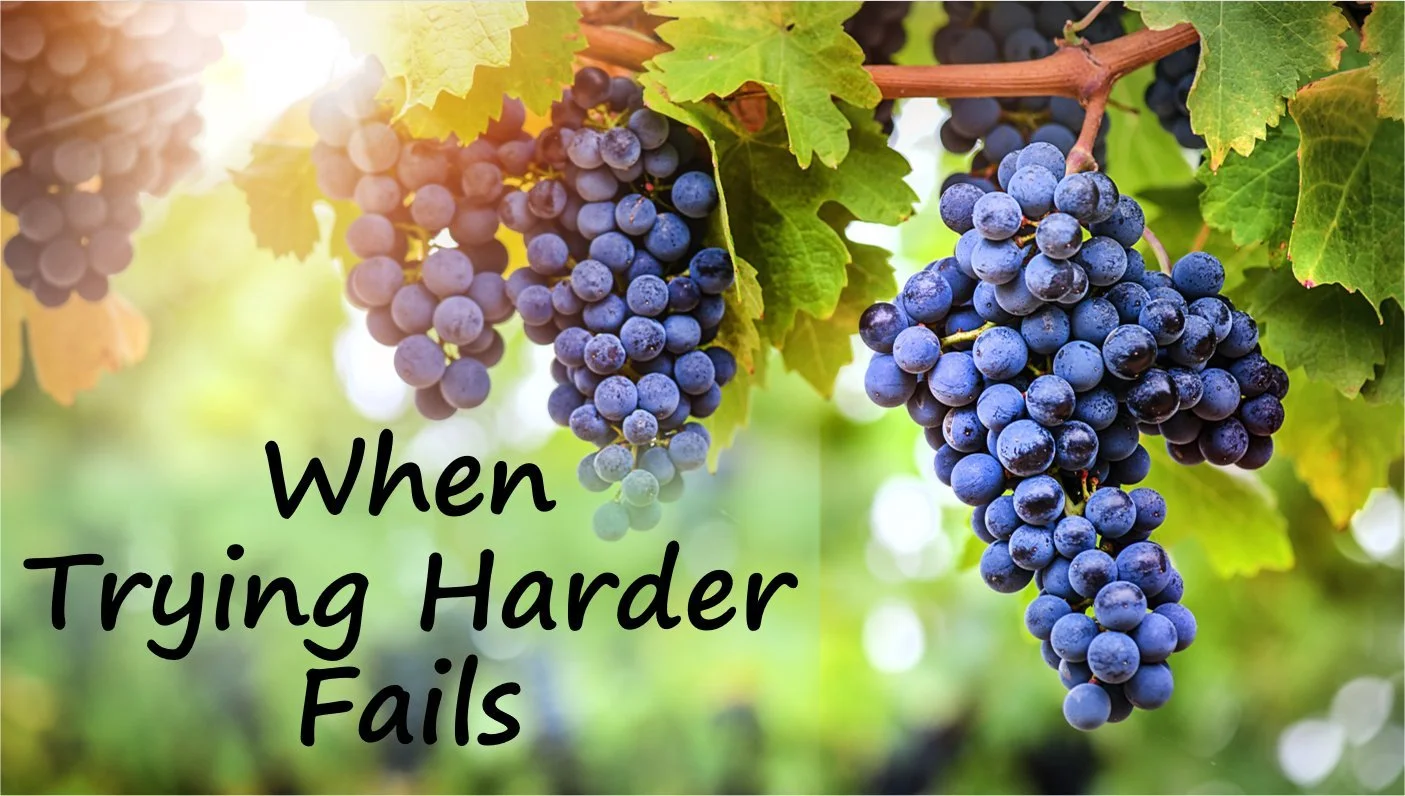 When Trying Harder Fails 