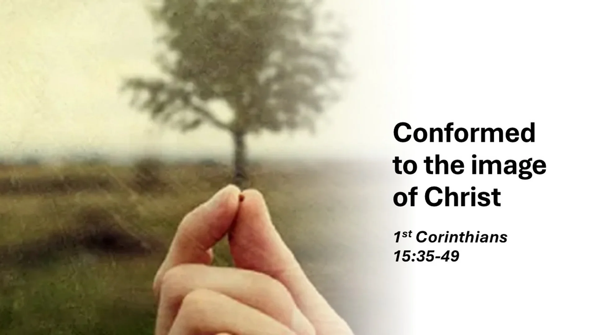 Conformed to the Image of Christ