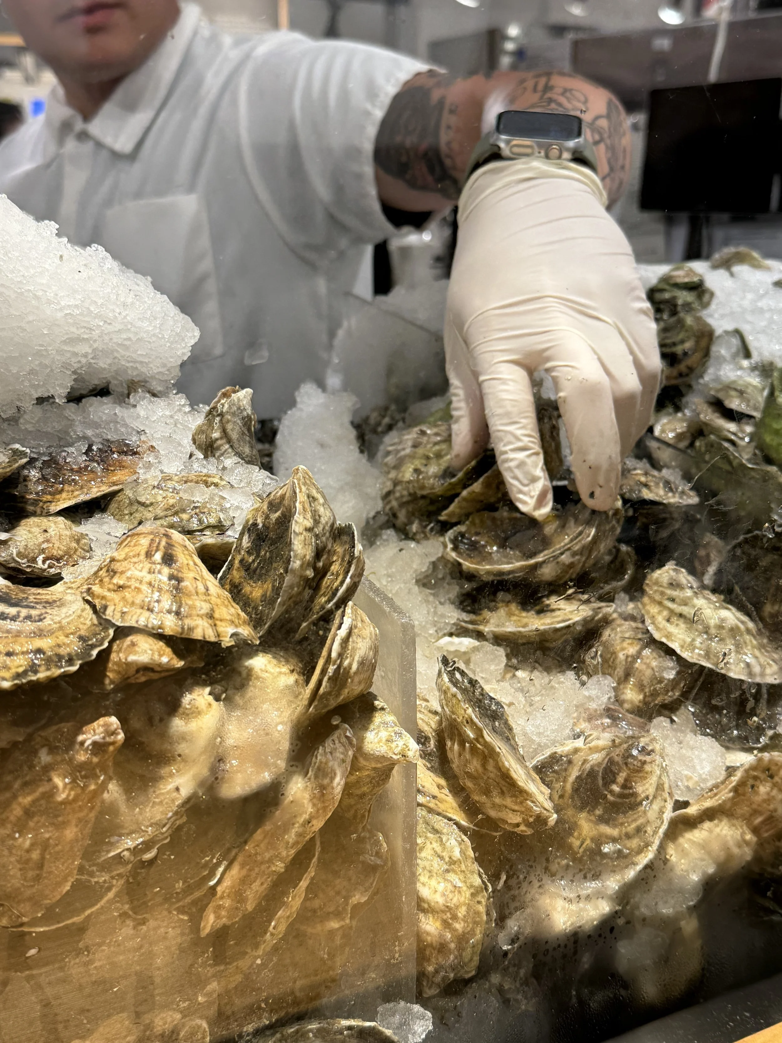 The Hand That Chooses