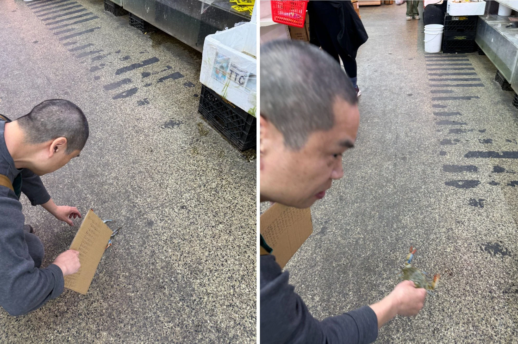 The little drama ends quietly