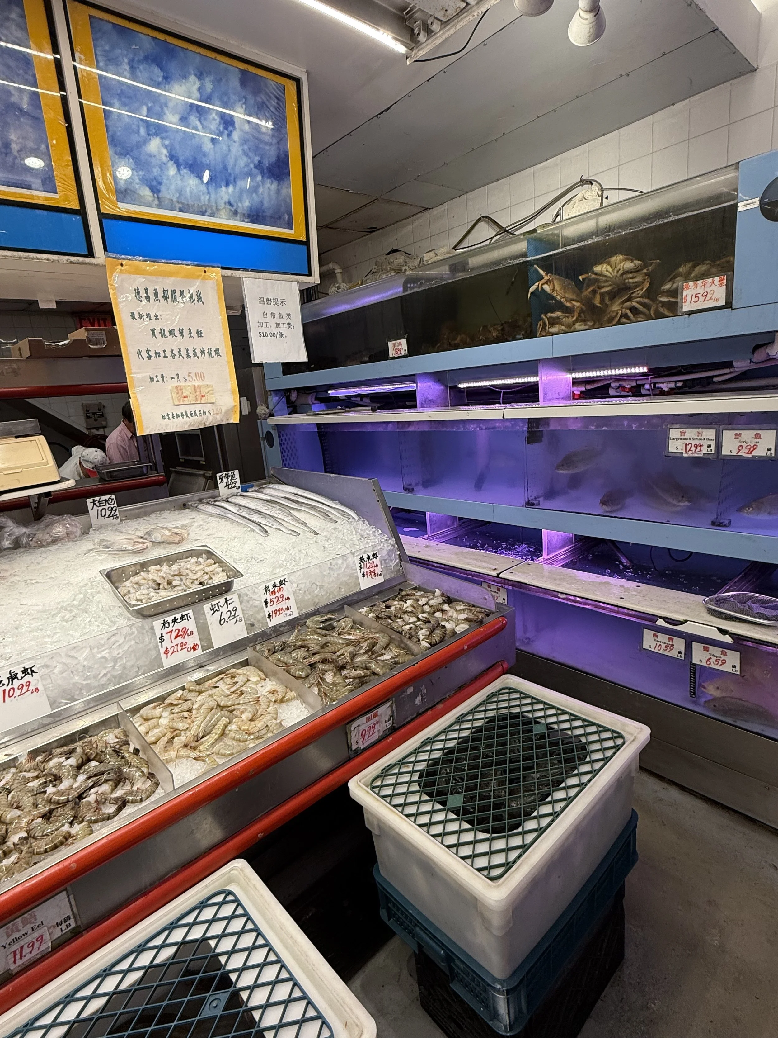 The Sky Above the Tanks