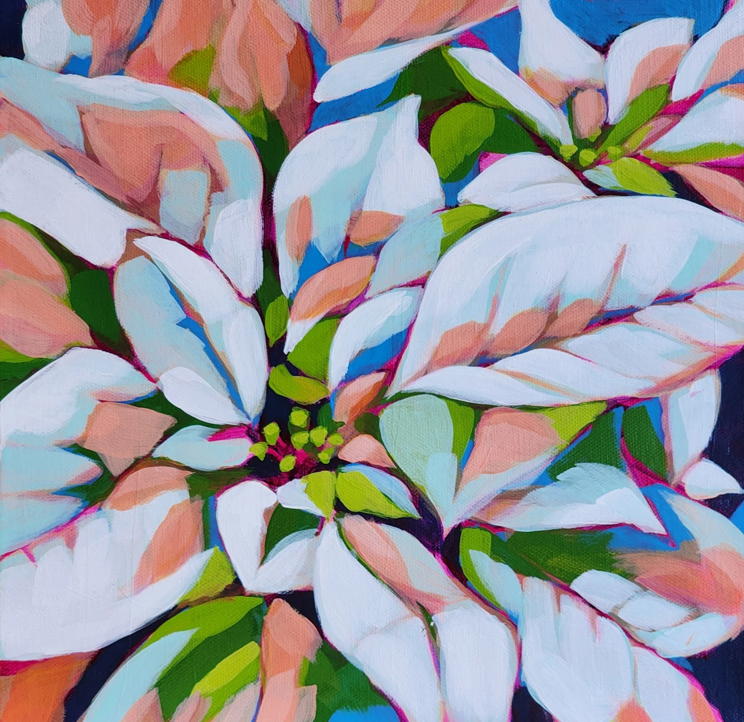 Blushing Poinsettia - Original Painting