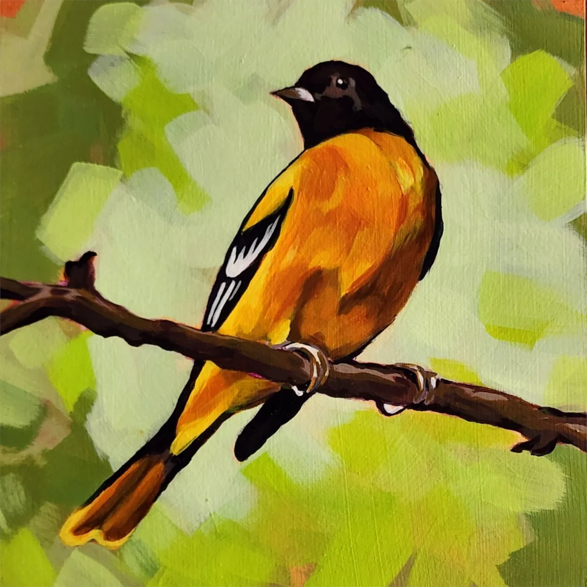 Sunlit Orange Tanager