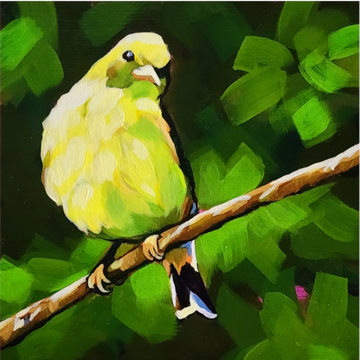 yellow finch_8x8.jpg