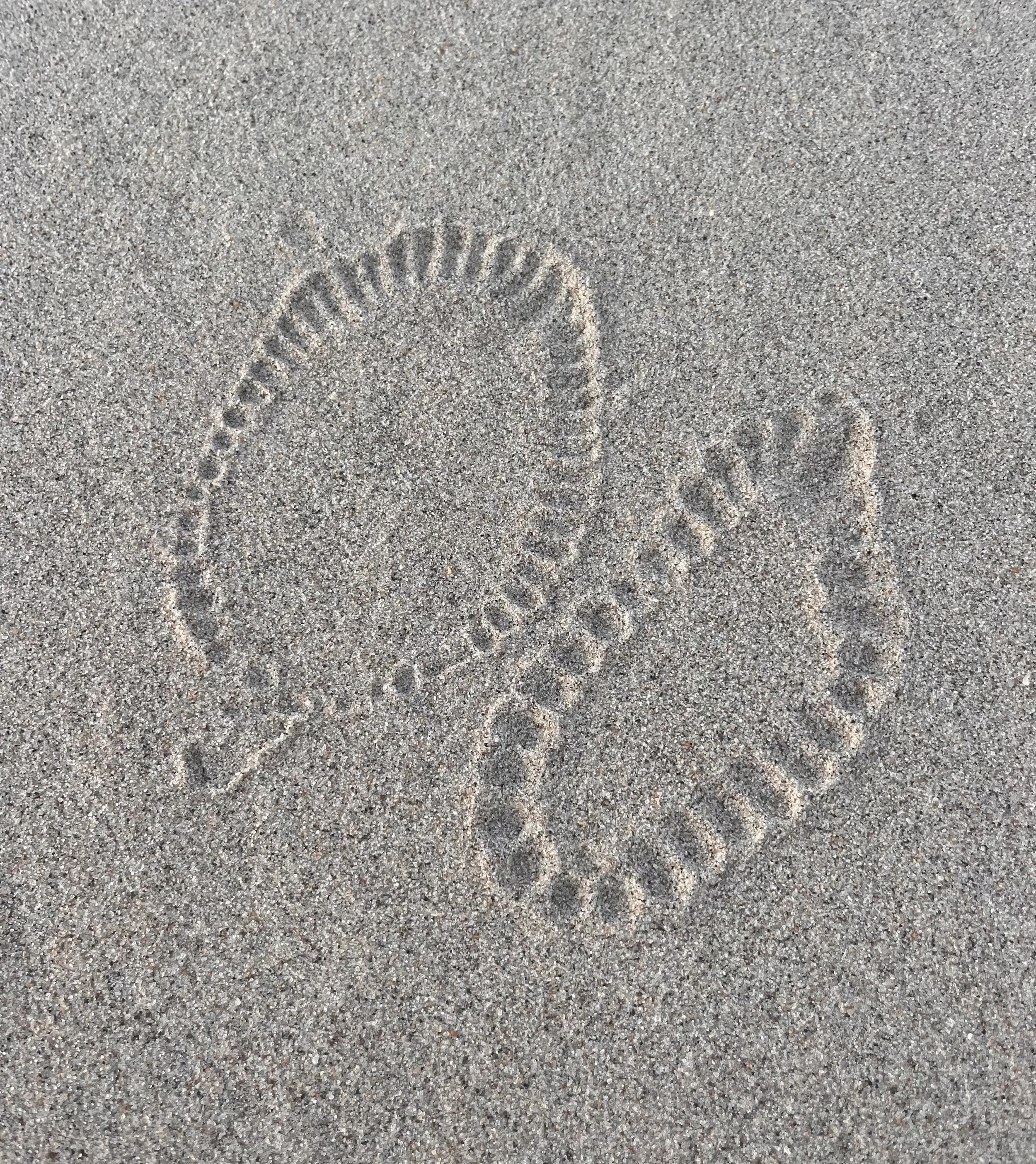 Sand imprint of the Lomi Anya Choker and the Mariny Necklace.
