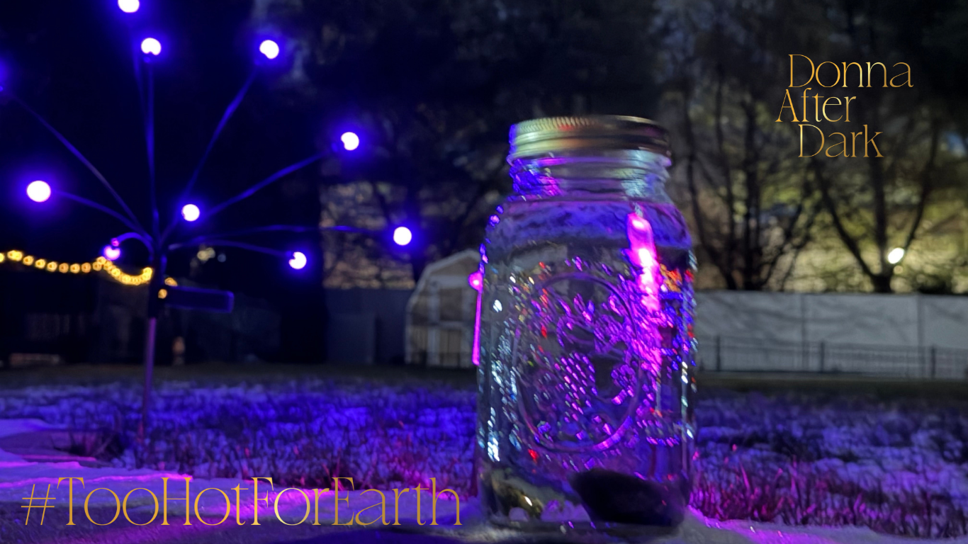 Stranger Screeches &amp; Disclosure Chic