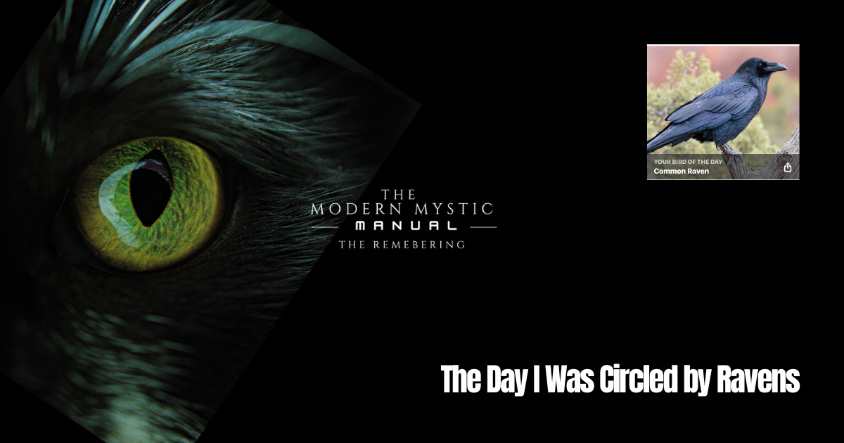 The Day I Was Circled by Ravens