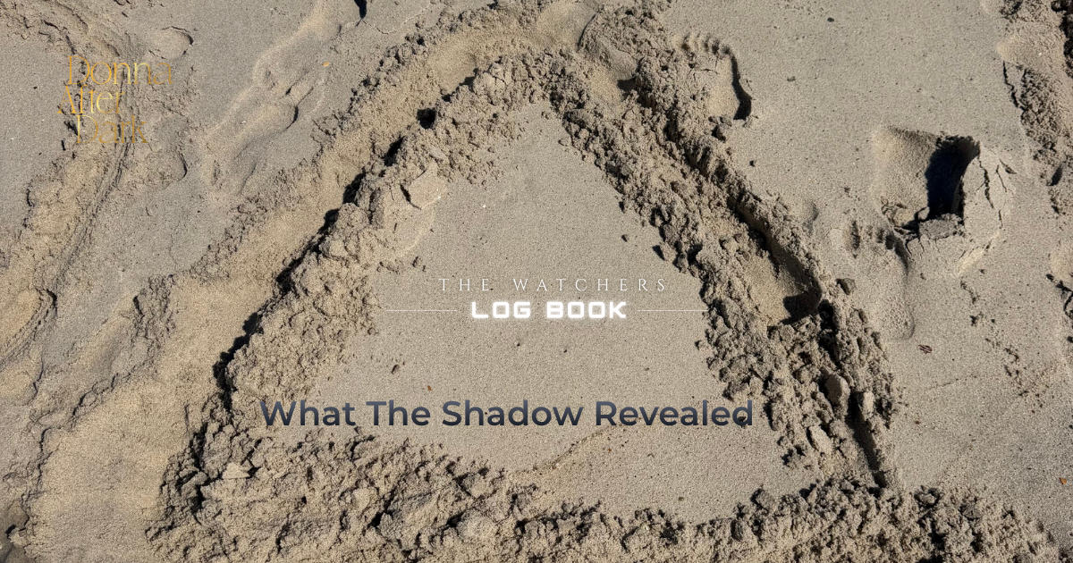What the Shadow Revealed