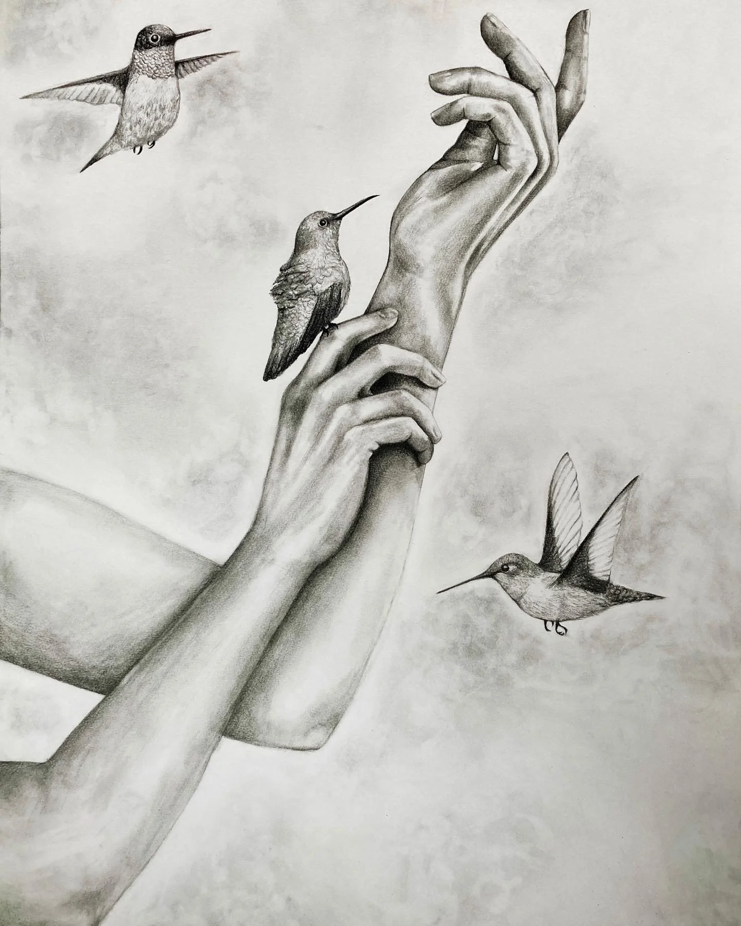 A pencil drawing of two human arms and hands with hummingbirds around them. One arm is extended, with the hand reaching upward, while the other arm is bent, with the hand near the wrist. Three hummingbirds are flying nearby, two near the arms and one