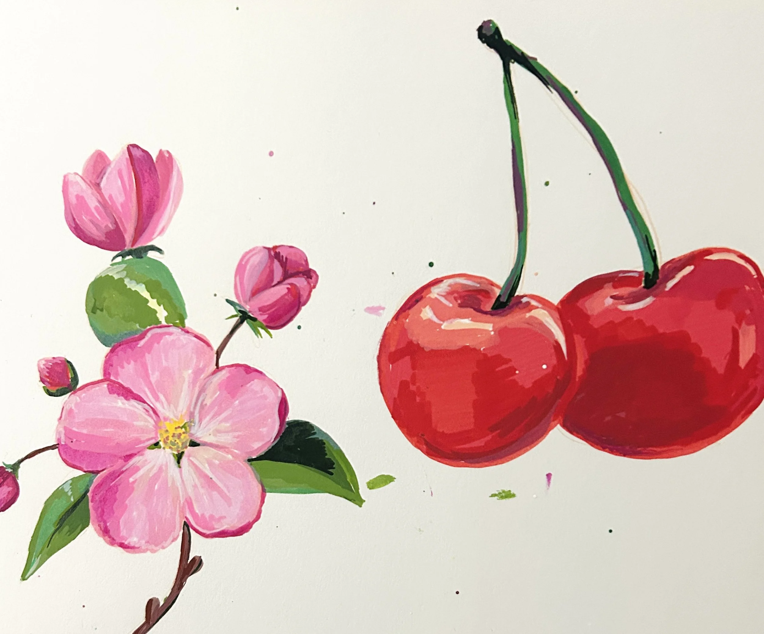 A watercolor painting of pink cherry blossoms and a pair of red cherries with green stems on a white background.