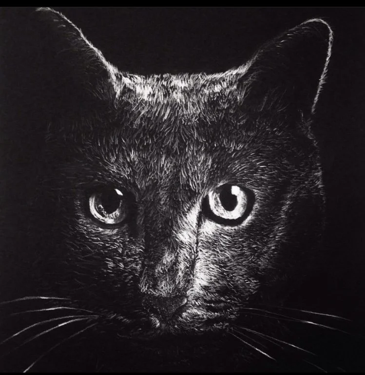 Close-up of a black cat's face with piercing eyes, rendered in a high-contrast, monochrome style.