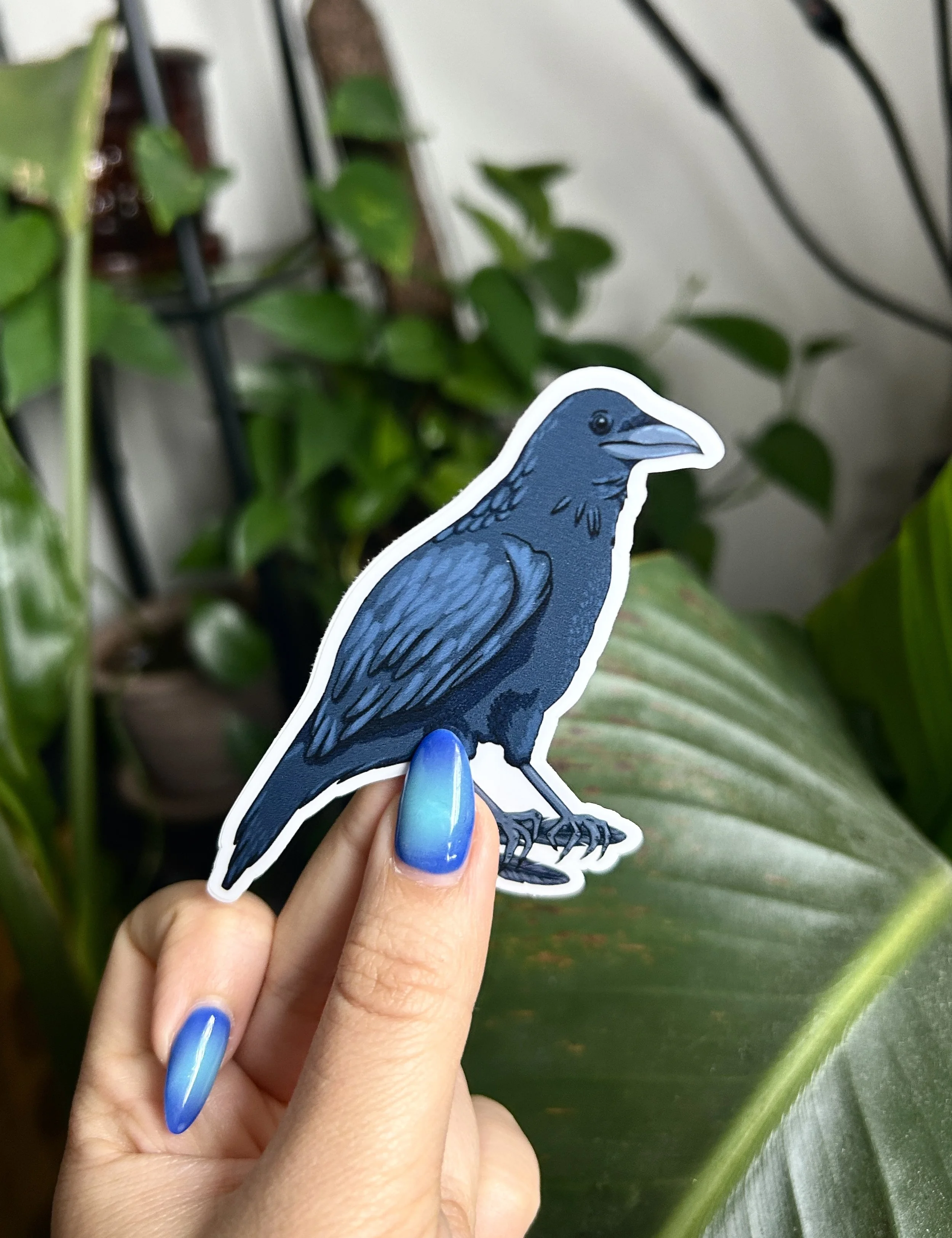 Crow Sticker