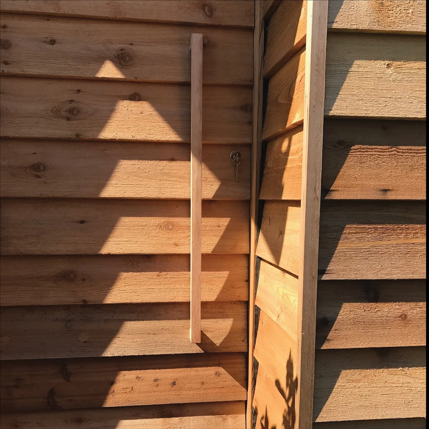 A modern take on the classic shed.
Western red cedar cladding brings texture, warmth, and timeless design to a functional space.

Enquire now on 🔗 revolvebuilding.com.au

#brisbanebuild #residentialconstruction #westernredcedar #timbercladding #outd