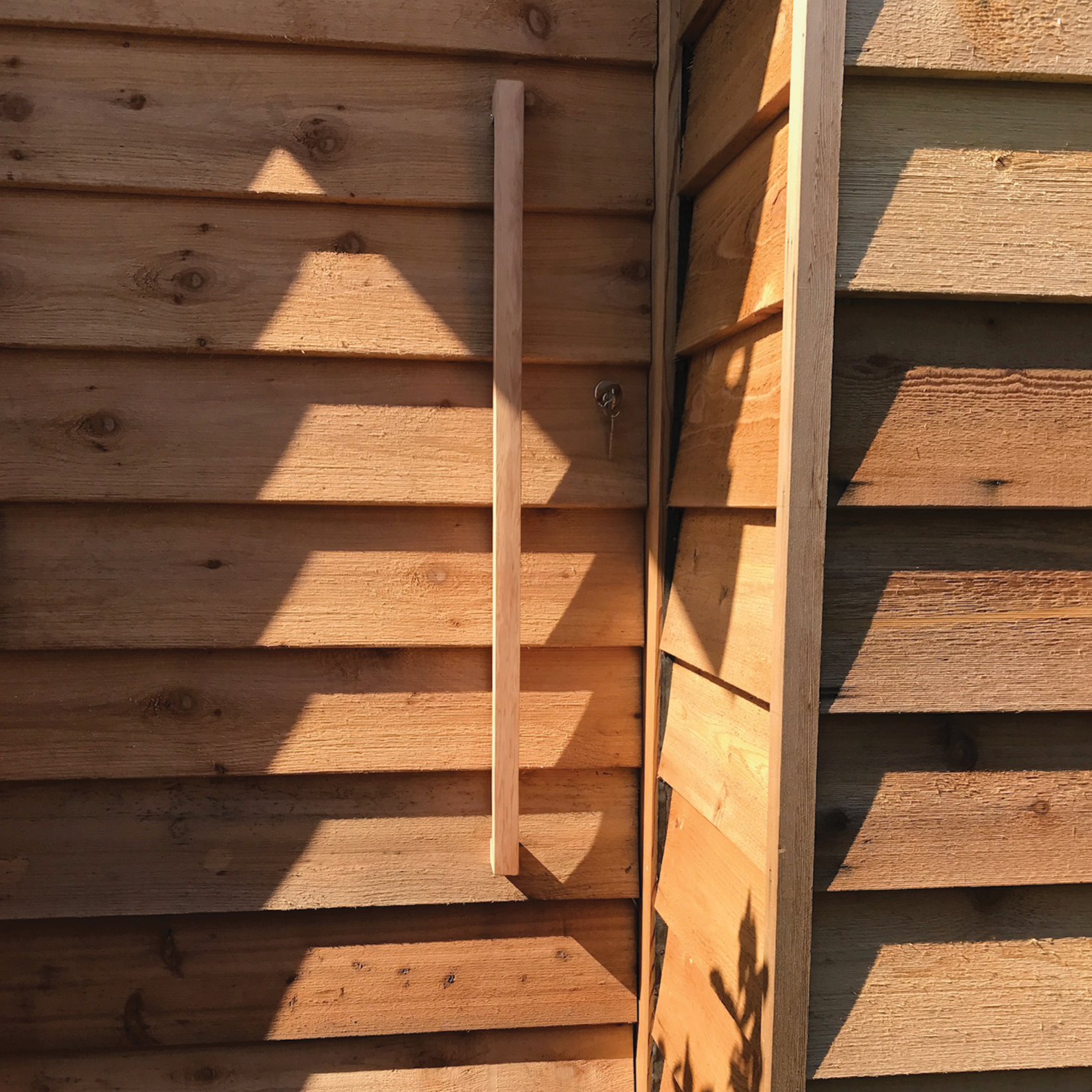 Custom Western Red Cedar cladding with a seamlessly concealed door, creating a bespoke cedar shed built in Brisbane, Queensland. Precision craftsmanship delivers a clean, modern look while preserving the natural warmth and durability of timber.