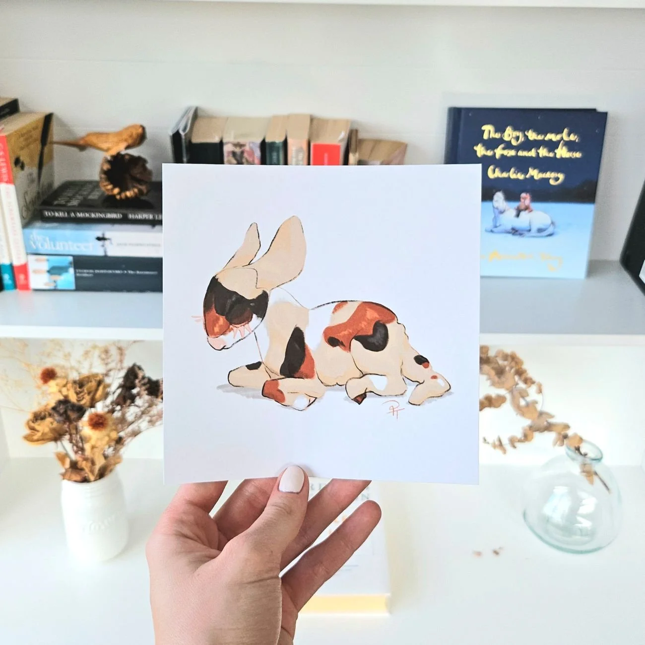 Resting Lamb Print