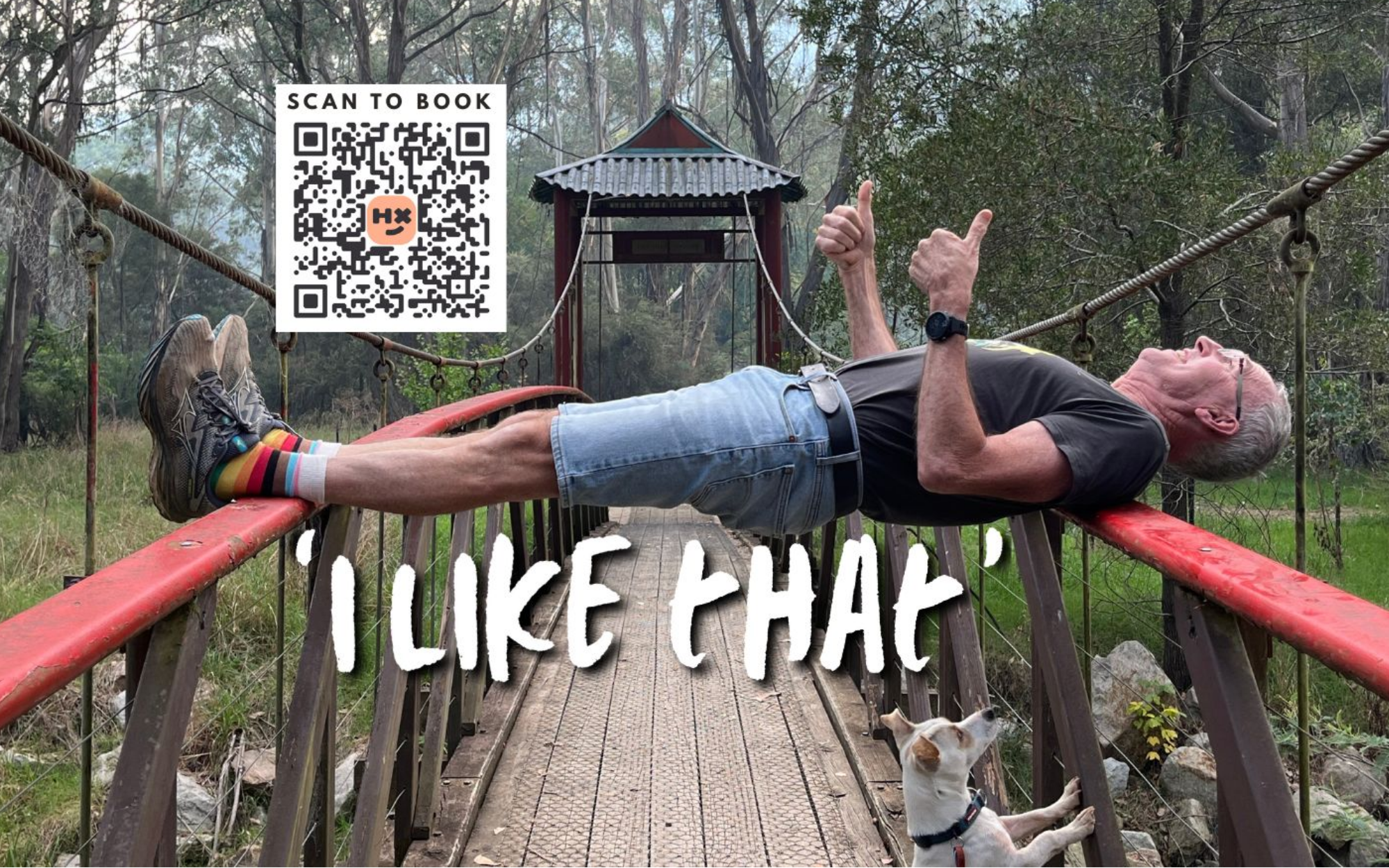 15.png