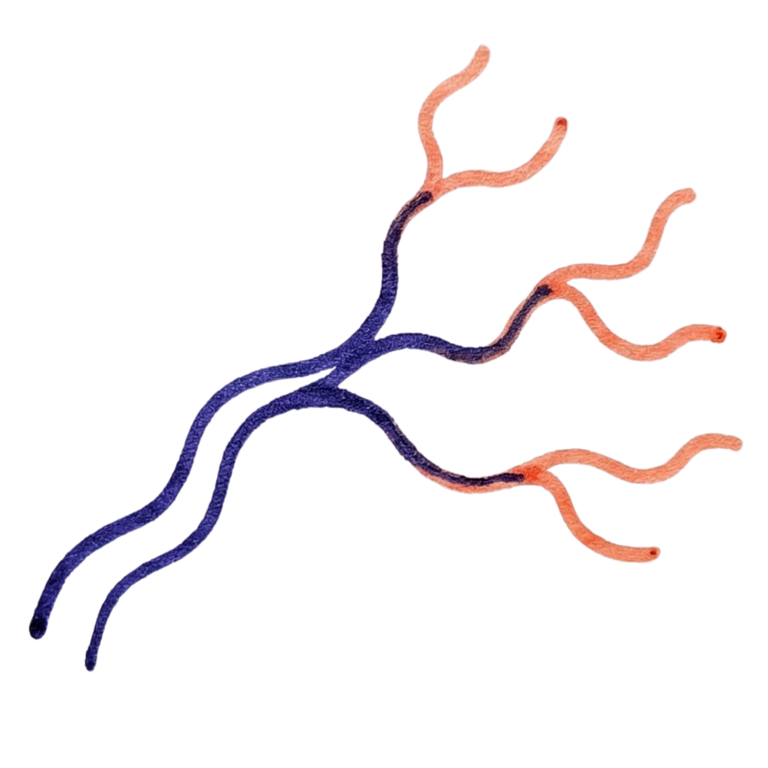 Marea Consulting_Marketing strategy method_Momentum