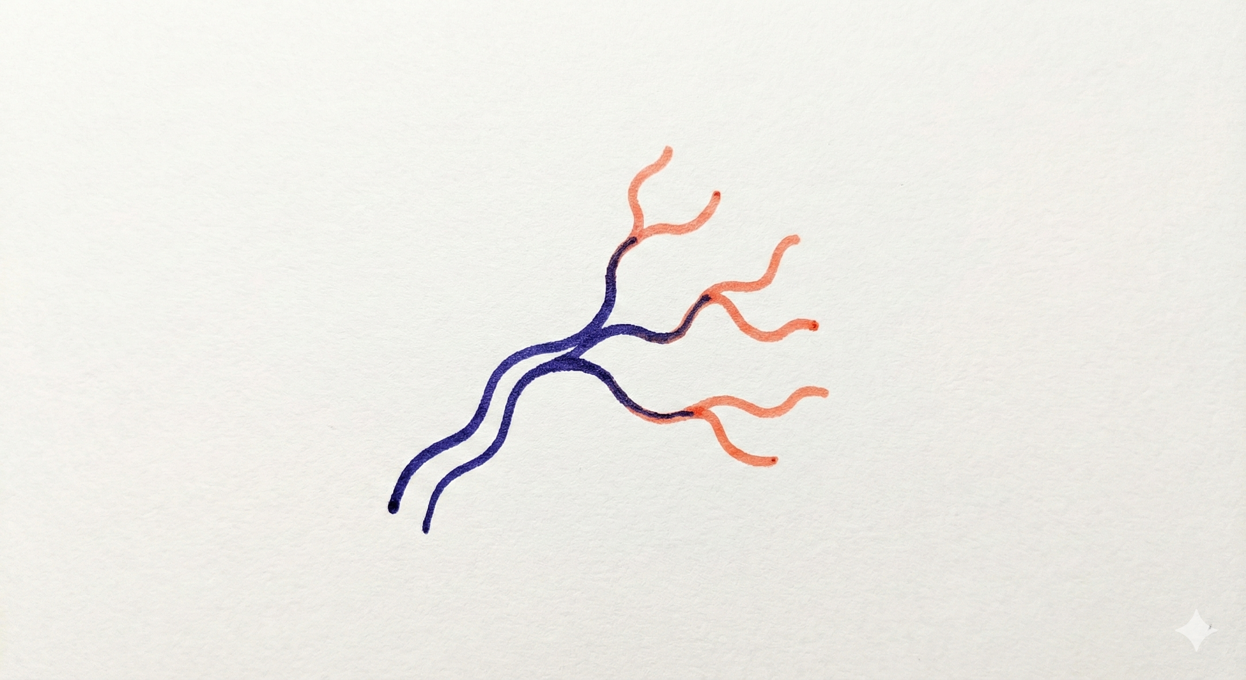 Marea Consulting_Marketing strategy framework_Momentum