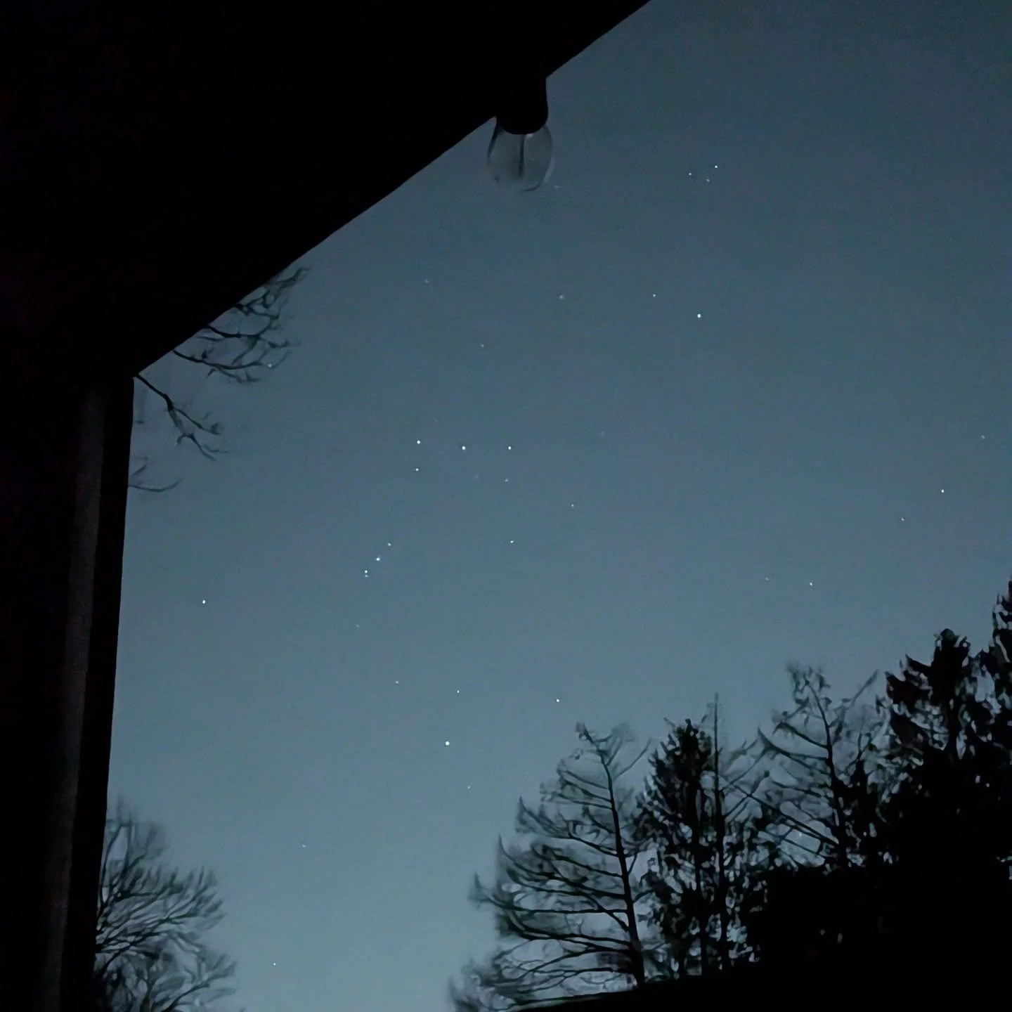 Last night for the new moon there was a perfect view of Orion setting through the sauna window 💙🌑

We're so lucky to be in such a beautiful spot at @osamequinfarm. Come stargaze with us!
.
.
.
.
.
.
.
.
.
.
.
#newmoon #orionsbelt #constellation #st