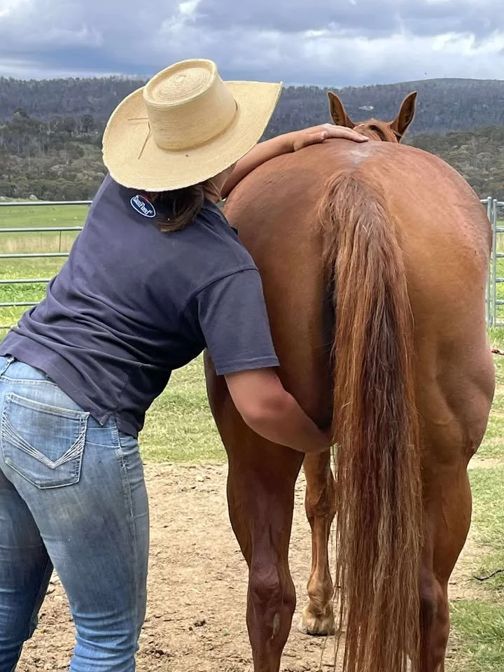 A woman in a straw hat and blue jeans is petting a brown horse on its back leg outdoors in a fenced pasture with mountains in the background.