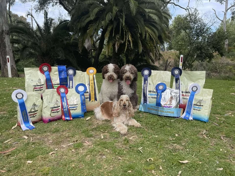 Three dogs sitting outdoors with several dog food bags and award ribbons displayed behind them, in a park-like setting with trees and grass.
