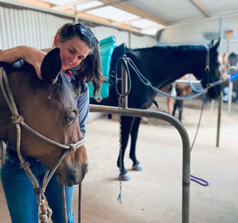 Person petting a brown horse in a stable with other horses in the background.