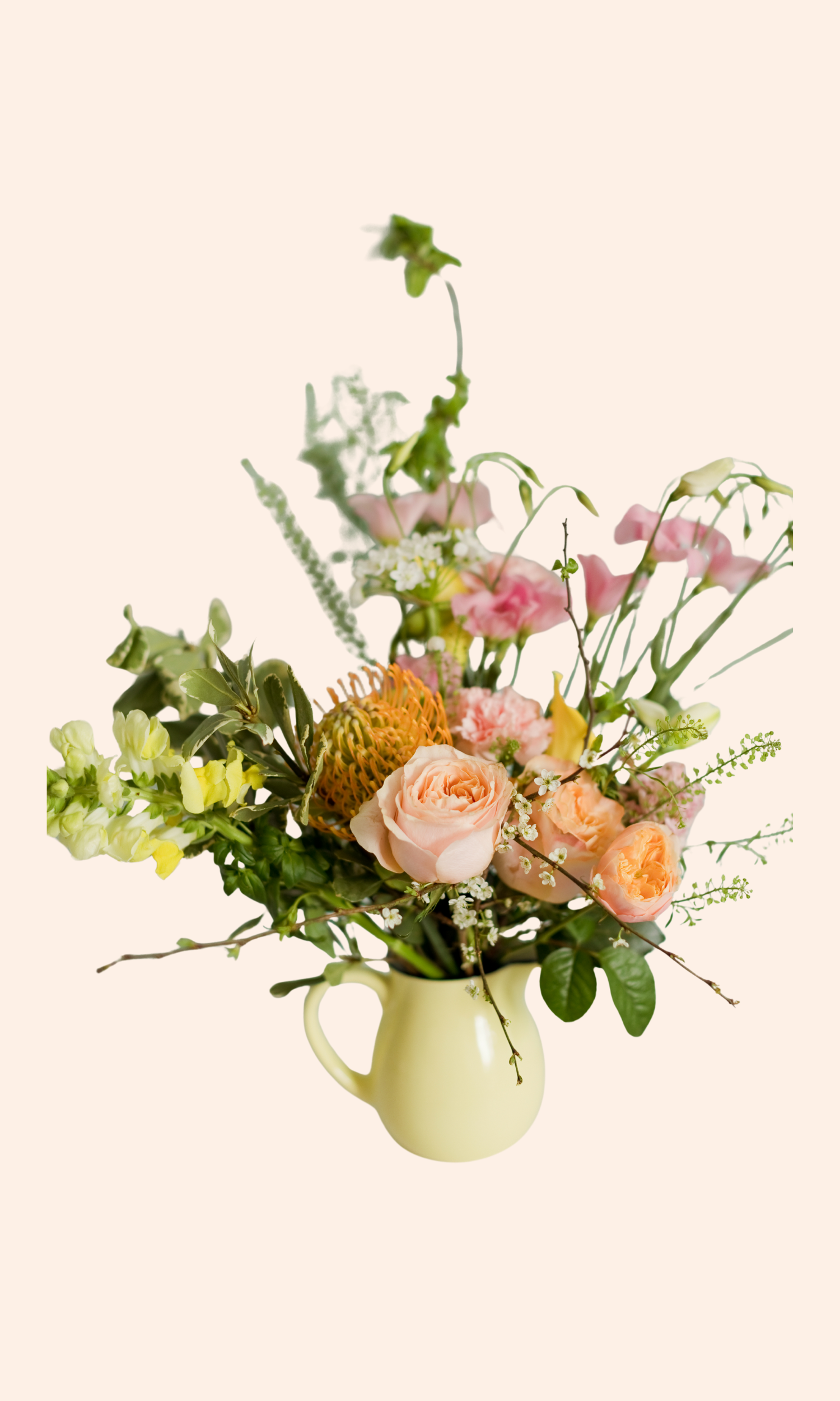 Blume Statement | Designers Choice