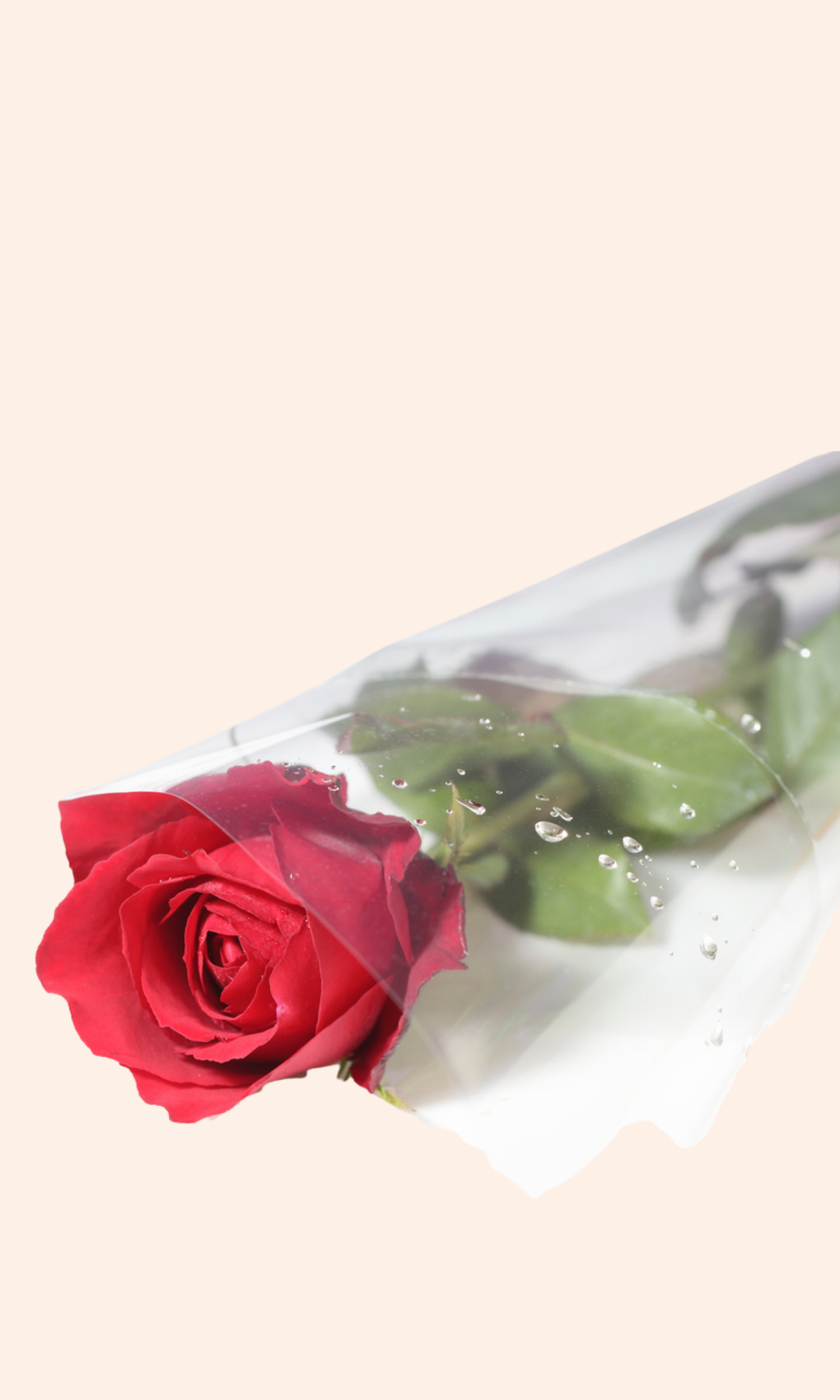 Pink Playful Coming Soon Facebook Post (72).png