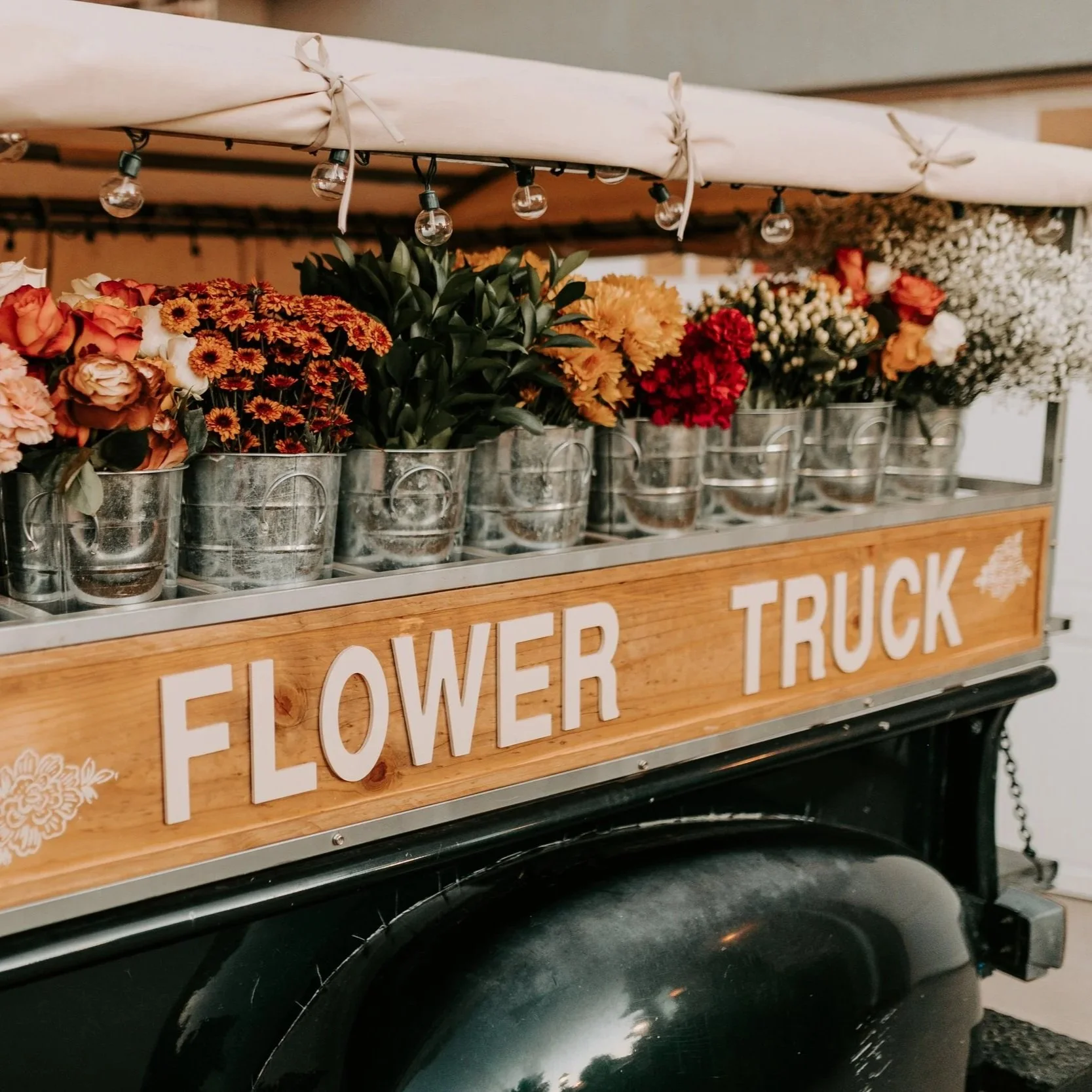 WRF Beary Brews Pop up Market