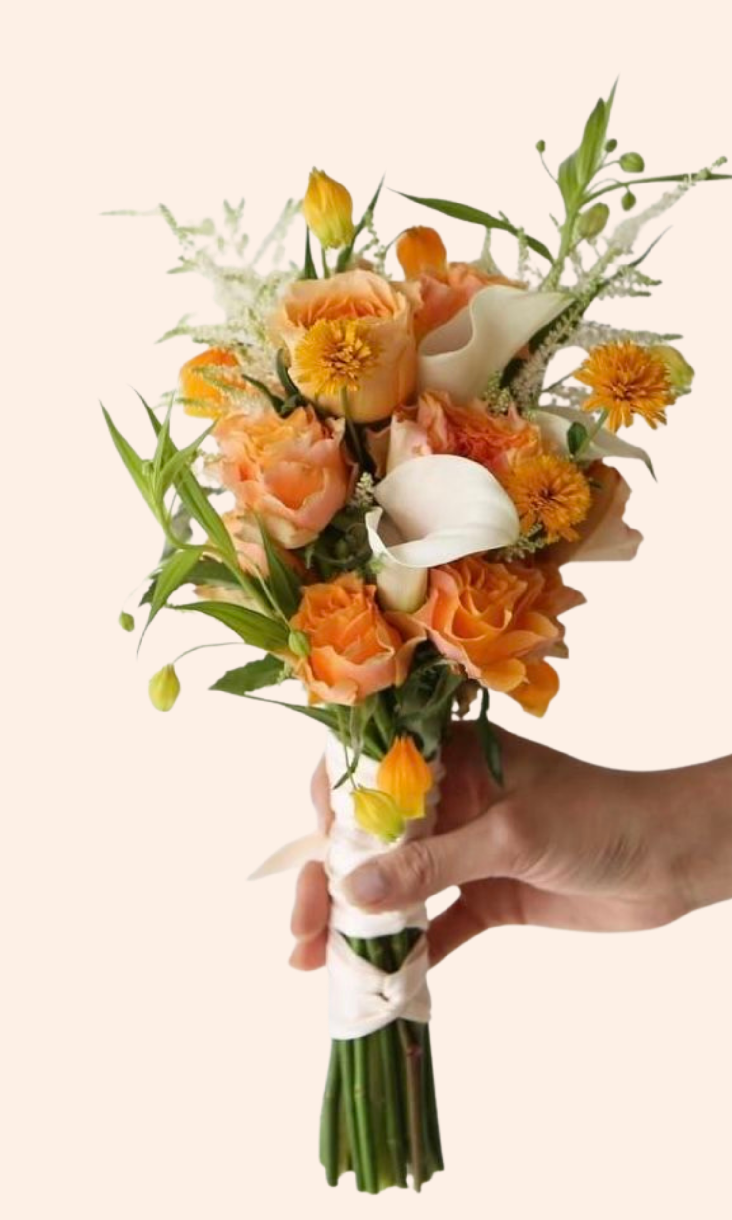 Formal Blumes — Daisy Blume